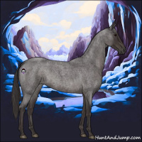 Horse Color:Smoky Blue Roan 