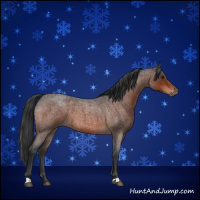 Horse Color:Brown Roan 