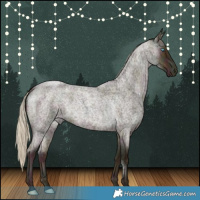 Horse Color:White Spotted Midnight Chocolate Palomino Roan Pearl