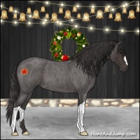Horse Color:Smoky Blue Roan 