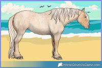 Horse Color:Gold Cream Champagne Roan 