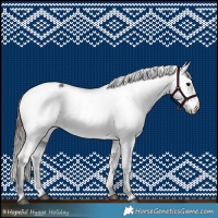 Horse Color:Black Appaloosa Rabicano 