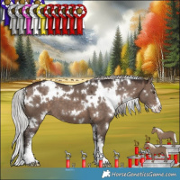 Horse Color:White Spotted Silver Brown Dun Mushroom Sabino