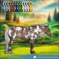 Horse Color:White Spotted Silver Brown Dun Mushroom Brindle 