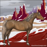 Horse Color:Chocolate Palomino Roan