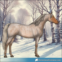 Horse Color:Chocolate Palomino Roan 