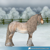Horse Color:Chocolate Palomino Roan Tobiano