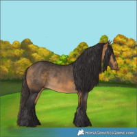 Horse Color:Buckskin Rabicano 