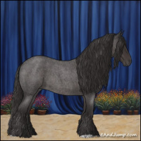 Horse Color:Smoky Blue Roan 