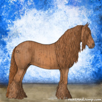 Horse Color:Chestnut  and Chestnut 