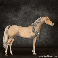 Horse Color:Palomino Roan 