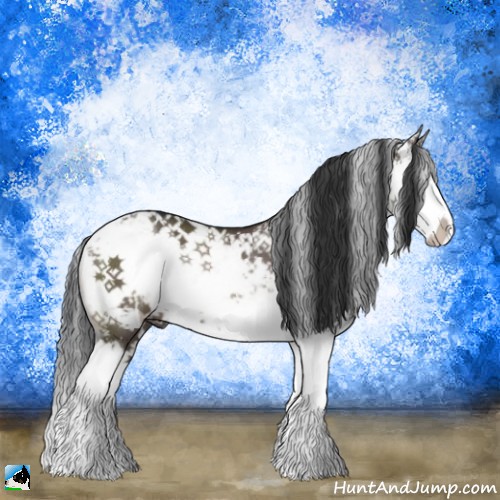 Horse Color:Brown Dun Mushroom Sabino Splash Rabicano 