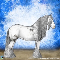 Horse Color:Grullo Sabino Splash Rabicano 