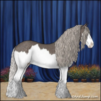 Horse Color:Silver Black Splash