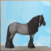 Horse Color:Smoky Blue Roan