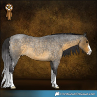 Horse Color:Buckskin Roan Sabino 
