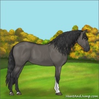 Horse Color:Grullo Tobiano 