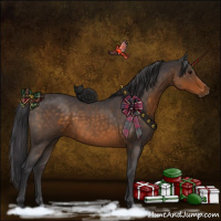 Horse Color:Buckskin Roan 