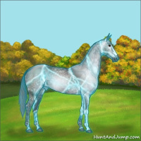 Horse Color:Gray Thunderstruck Black Ice 