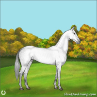 Horse Color:Gray Black Ice