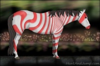 Horse Color:Smoky Blue Roan