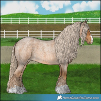 Horse Color:Chocolate Palomino Roan 