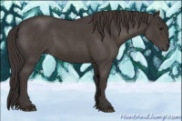 Horse Color:Smoky Blue Roan