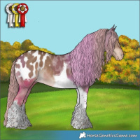 Horse Color:Liver Red Dun Tobiano Appaloosa 