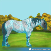 Horse Color:Thunderstruck Blue Roan Tobiano Rabicano 