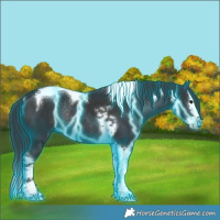 Horse Color:Thunderstruck Black Splash Tobiano Rabicano 