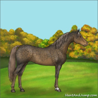 Horse Color:Chocolate Palomino Roan Rabicano