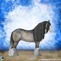 Horse Color:Grullo Splash Rabicano Brindle 