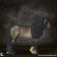 Horse Color:Brown Dun Sabino Rabicano Brindle