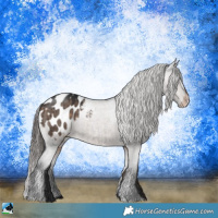 Horse Color:Brown Dun Sabino Blanket Rabicano Brindle 