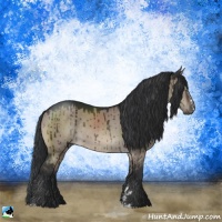 Horse Color:Brown Dun Sabino Rabicano Brindle 