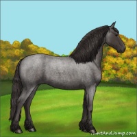 Horse Color:Smoky Blue Roan 