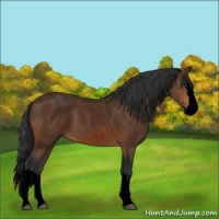 Horse Color:Void Bay Roan Splash 