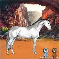 Horse Color:Grullo Ice Roan Splash