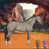 Horse Color:Smoky Grullo Ice Roan 