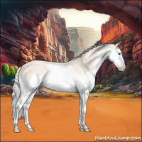 Horse Color:Silver Smoky Creme Ice Roan Splash 