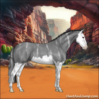 Horse Color:Blue Ice Roan Splash 