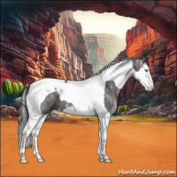 Horse Color:Smoky Black Ice Splash Tobiano 