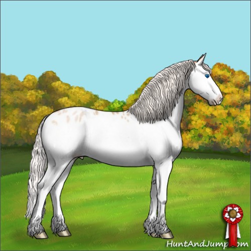 Horse Color:Silver Buckskin Pearl Splash Appaloosa 