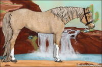 Horse Color:Palomino Roan 