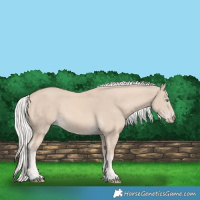 Horse Color:Cremello Tobiano 