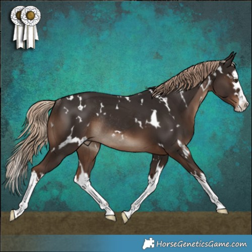 Horse Color:White Spotted Liver Chestnut Splash Rabicano 