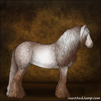 Horse Color:Gray Red Roan 