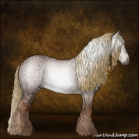 Horse Color:Gray Chestnut 