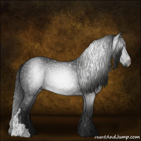 Horse Color:Gray Black 