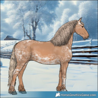 Horse Color:Chestnut Ice 